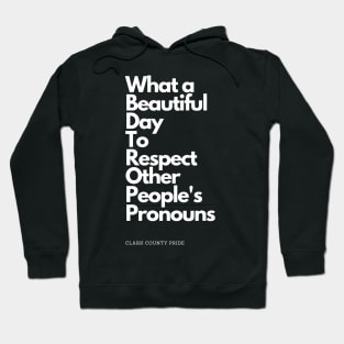 What a Beautiful Day to Respect Other People's Pronouns Hoodie